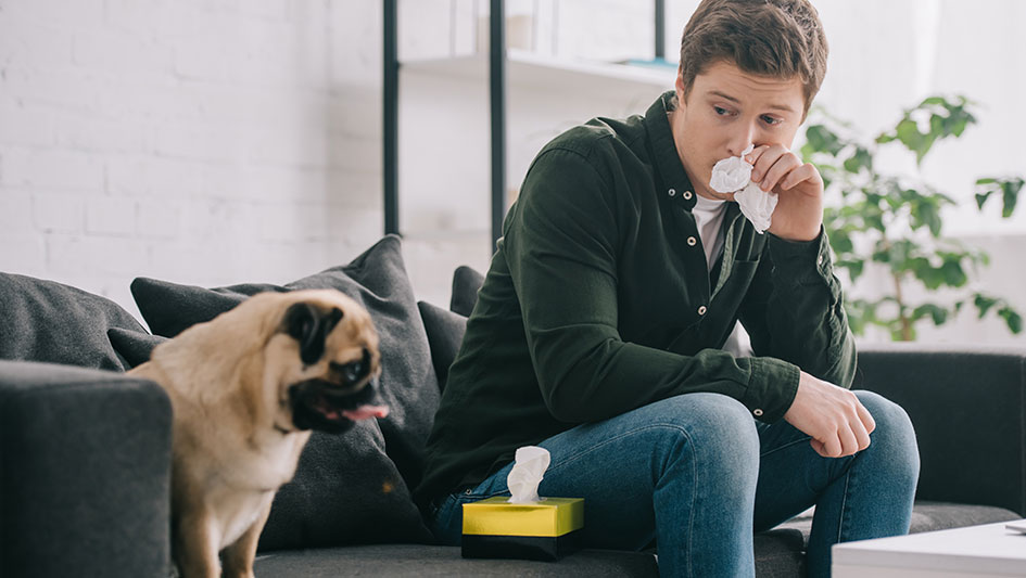 Purchasing an air purifier is one of the wisest approaches to enhance your house’s indoor air quality. Learn more about the three smartest products. 